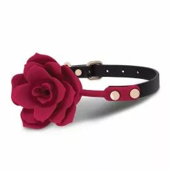 Ball Gag Bloom Secret Kisses