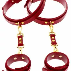 Been- En Handboeien Taboom