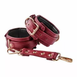 Dreamtoys Enkelboeien Blaze Elite