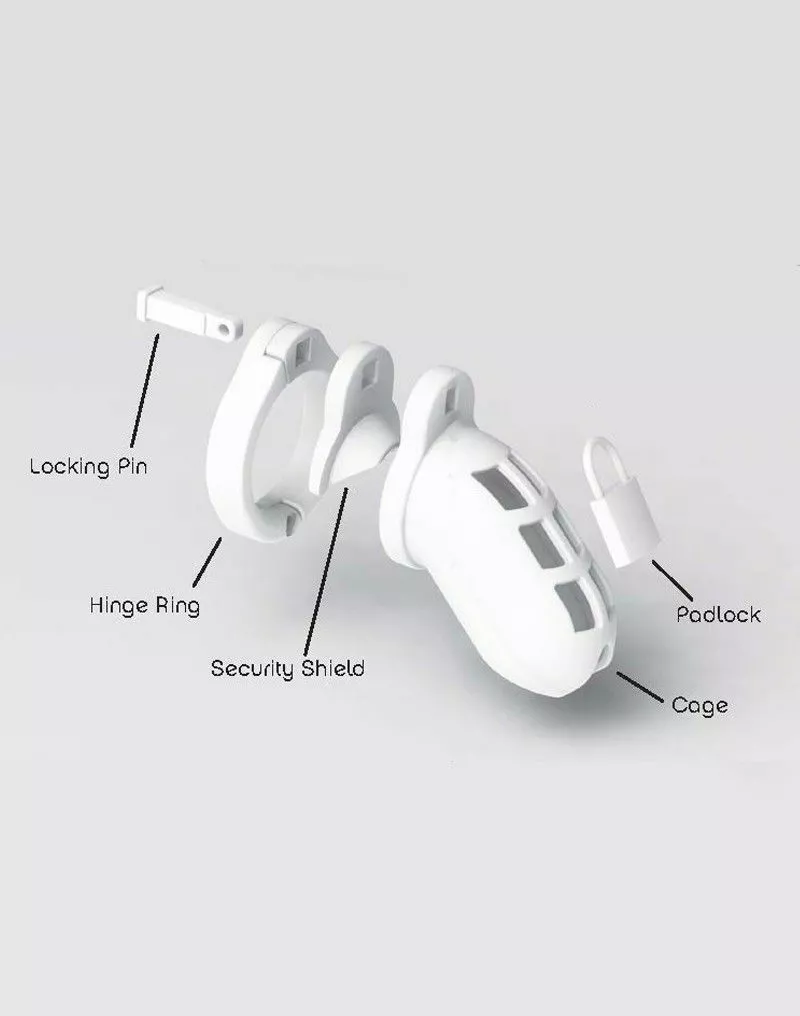 World Cage Hangslot SFW 2 World Cage Hangslot SFW - Afbeelding 2