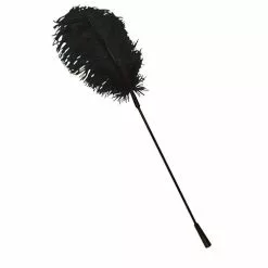 Black Feather Bad Kitty