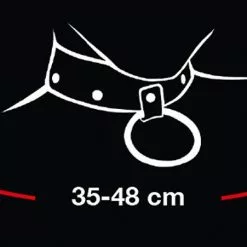 Bad Kitty Kunstleren Halsband Met Riem -Lingerie Setjes Verkoopwinkel 24920161001 kunstleren halsband met riem afmeting