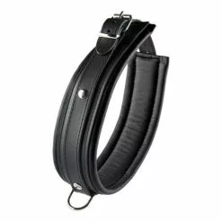 Hidden Desire Zwarte Halsband