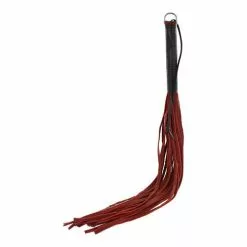 Hidden Desire Zwart Met Rode Zweep