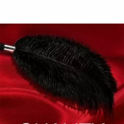 Blush BDSM Veer In Luxe Doos - Zwart 12 Blush BDSM Veer In Luxe Doos - Zwart -Lingerie Setjes Verkoopwinkel 331575 5