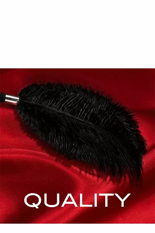 Blush BDSM Veer In Luxe Doos - Zwart 6 Blush BDSM Veer In Luxe Doos - Zwart - Afbeelding 6