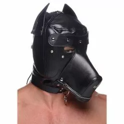 Master Series BDSM Masker Met Verwijderbare Muil