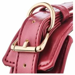 Dreamtoys Blaze Elite Collar & Riem - Rood -Lingerie Setjes Verkoopwinkel blaze elite collar riem rood 7