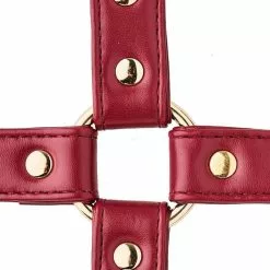 Dreamtoys Blaze Elite Hogtie - Rood -Lingerie Setjes Verkoopwinkel blaze elite hogtie rood 7