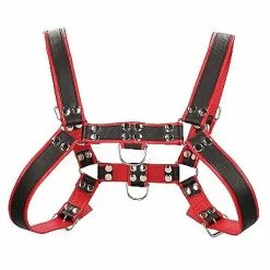 Ouch! Buckle Bulldog Harness - Rood-S / M -Lingerie Setjes Verkoopwinkel buckle bulldog harness rood los
