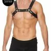 Ouch! Buckle Bulldog Harness - Zwart-S / M