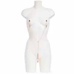 Fifty Shades Freed Tepel- En Clitorisklemmen