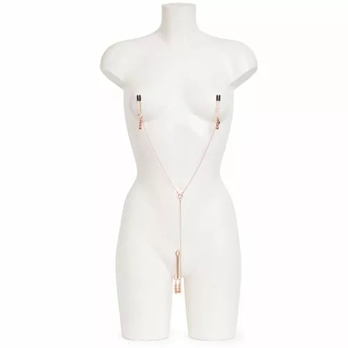 Fifty Shades Freed Tepel- En Clitorisklemmen 1 Fifty Shades Freed Tepel- En Clitorisklemmen