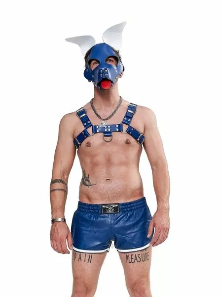 Mister B Masker Shaggy Dog Hood - Blauw/Wit 4 Mister B Masker Shaggy Dog Hood - Blauw/Wit - Afbeelding 4