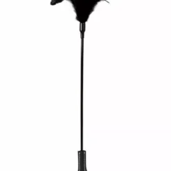 Veer Met Crop - Guilty Pleasure