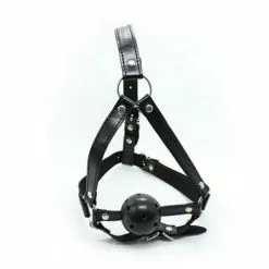 Toyz4lovers Hoofd Harnas Met Ballgag