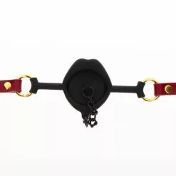 Taboom Kinky Gag Met Plug -Lingerie Setjes Verkoopwinkel kinky gag met plug 4