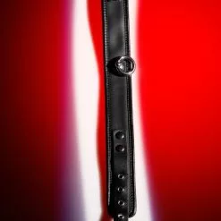 Zado Lederen Halsband Met Ring -Lingerie Setjes Verkoopwinkel lederen halsband met ring 3