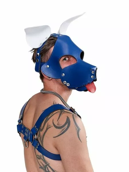 Mister B Masker Shaggy Dog Hood - Blauw/Wit 2 Mister B Masker Shaggy Dog Hood - Blauw/Wit - Afbeelding 2