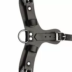 Master Series Puppy Play Masker Met Ballgag -Lingerie Setjes Verkoopwinkel puppy play masker met ballgag riem