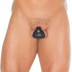 Rimba - Penis Dwangbuis