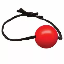 BLACK LABEL Rode Ball Gag Met Leren Band
