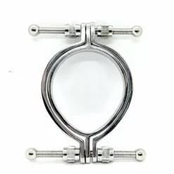 Kiotos RVS Pussy Clamp 2.0 Met 55 Mm. Fuck Hole
