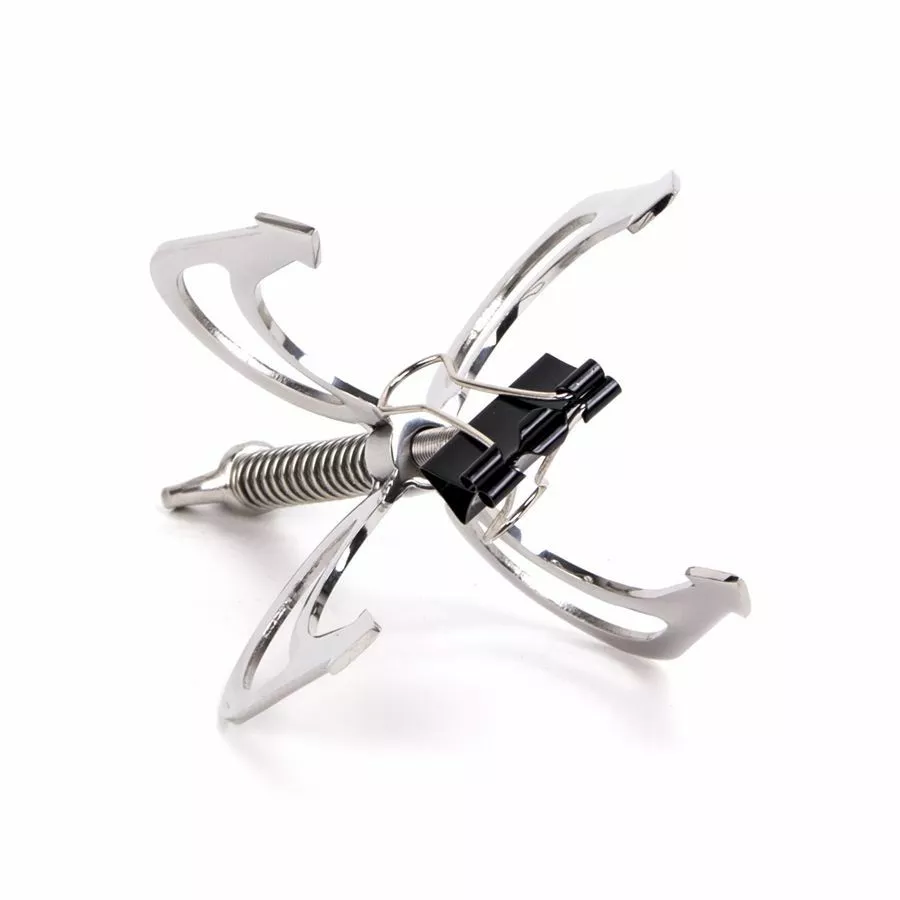 Kiotos RVS Drakenklauw - Zilver 2 Kiotos RVS Drakenklauw - Zilver - Afbeelding 2