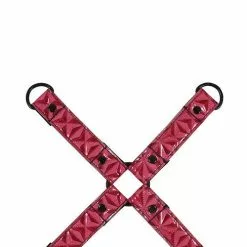 Sinful Hogtie - Roze